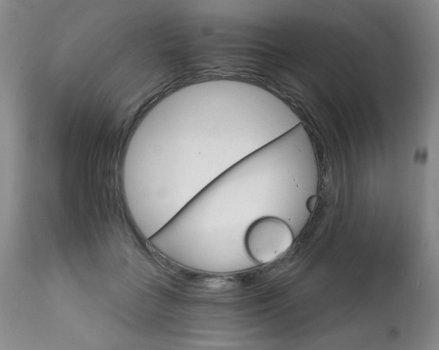 X0000111930555200907271316