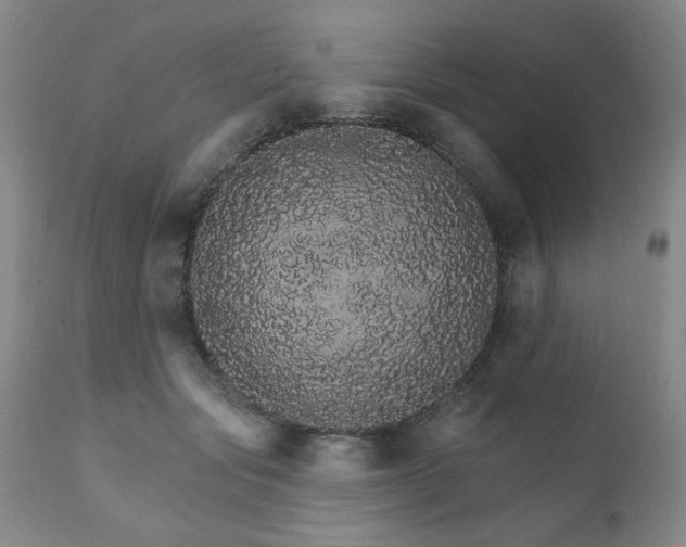 X0000111930557200907271316