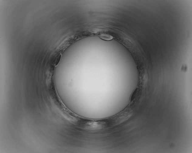 X0000111930558200907271316