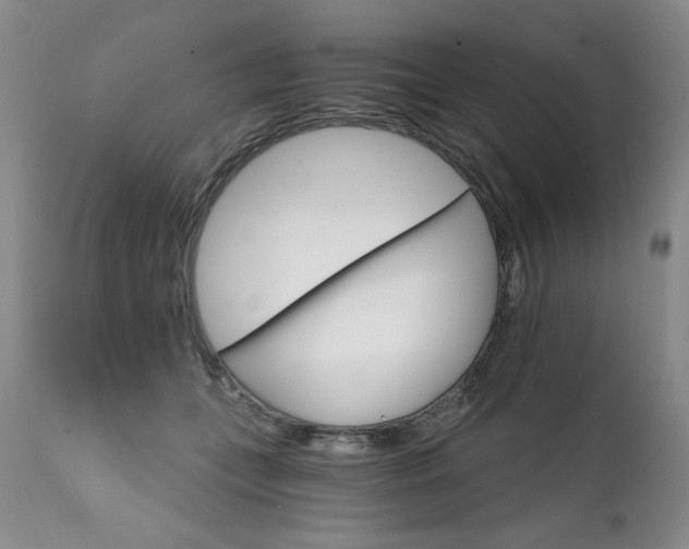 X0000111930559200907271316