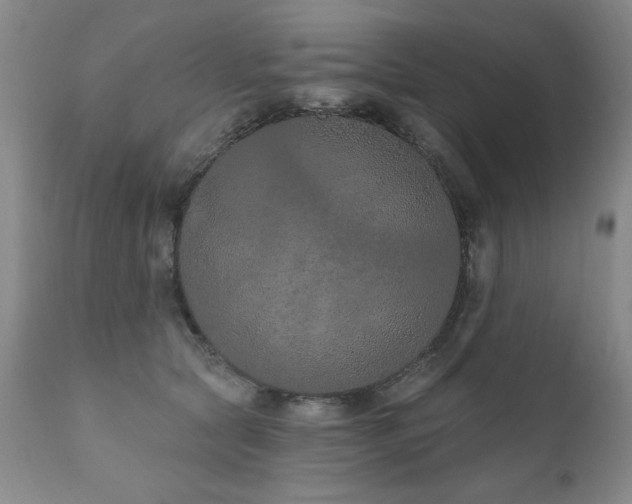 X0000111930561200907271316
