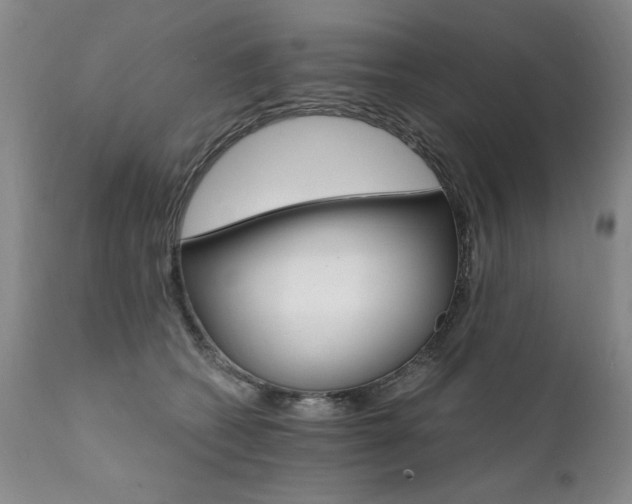 X0000111930562200907271316