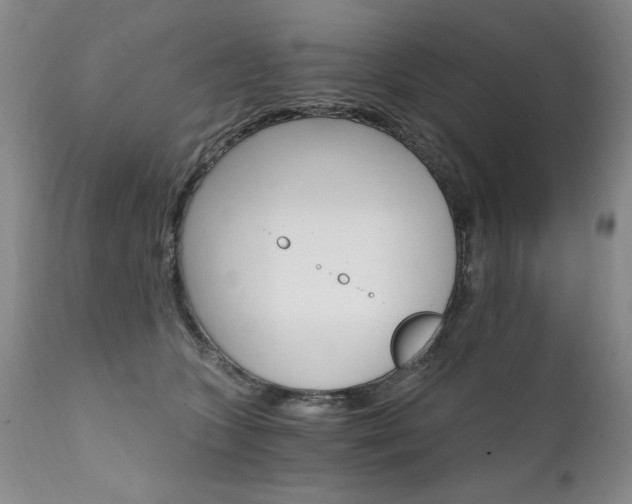 X0000111930563200907271316