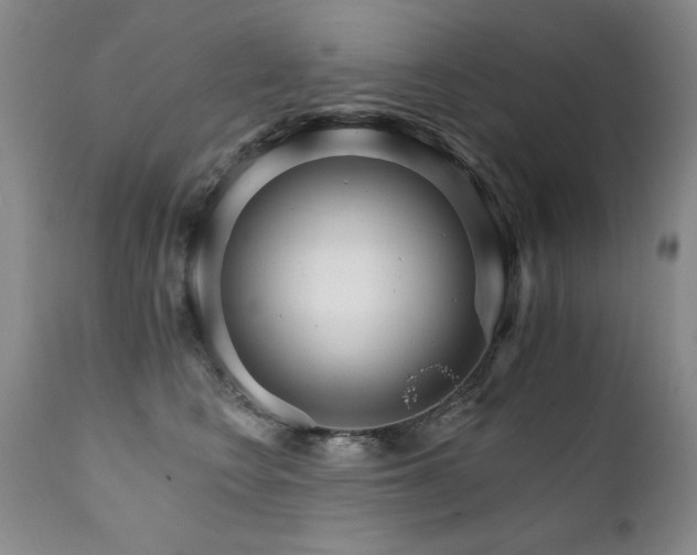 X0000111930566200907271316