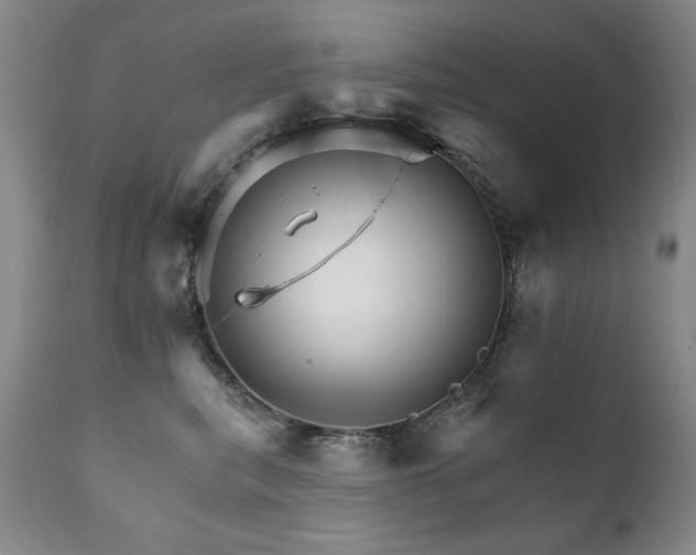 X0000111930567200907271316
