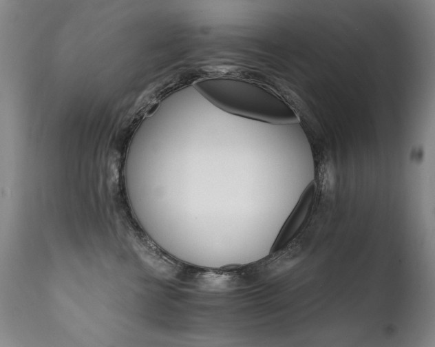 X0000111930570200907271316