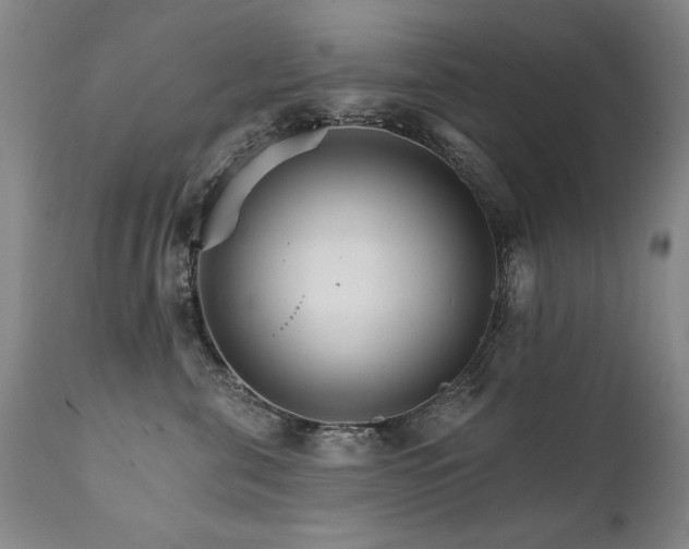 X0000111930571200907271316