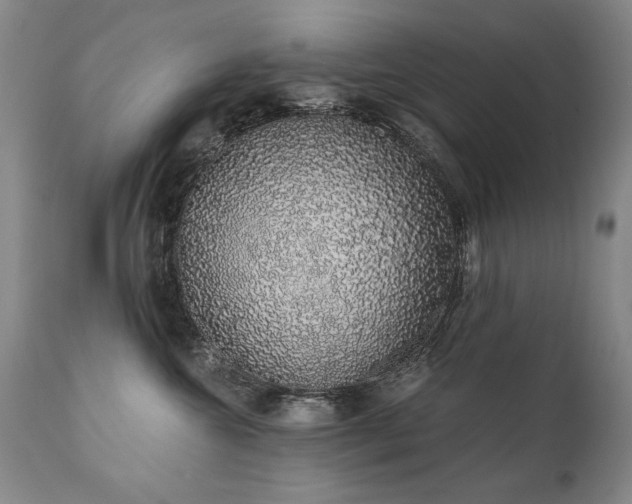 X0000111930572200907271316