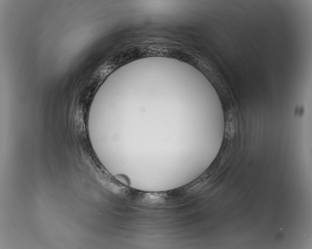 X0000111930573200907271316