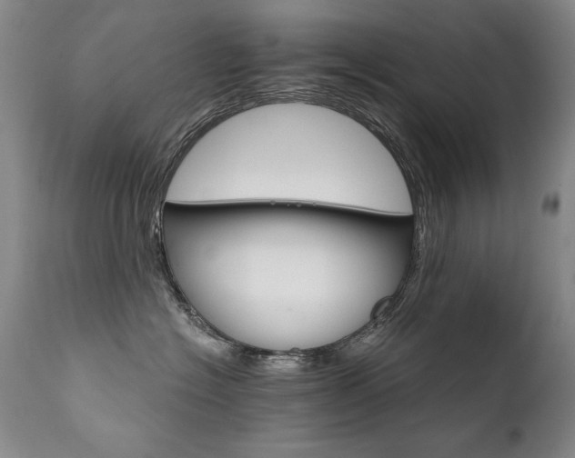 X0000111930574200907271316