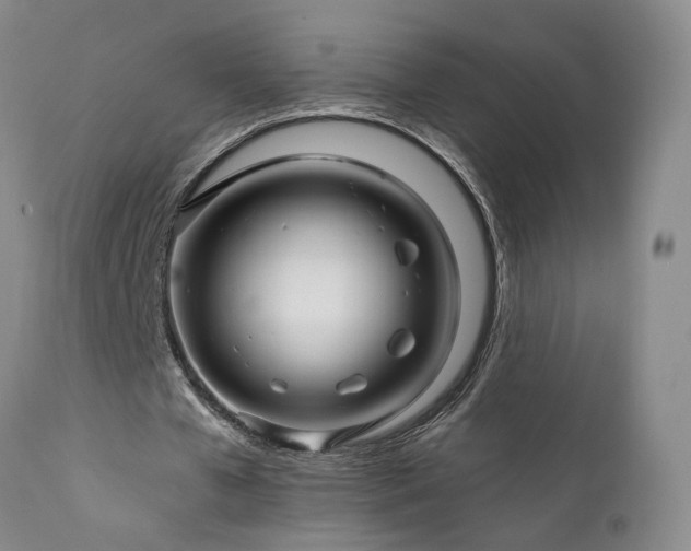 X0000111930577200907271315