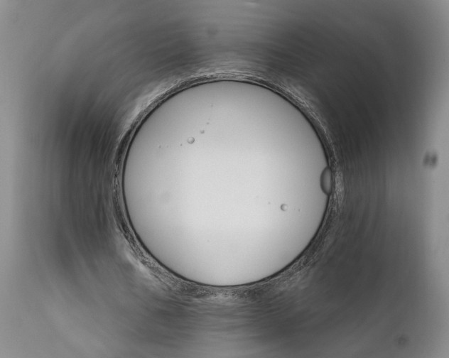 X0000111930578200907271315