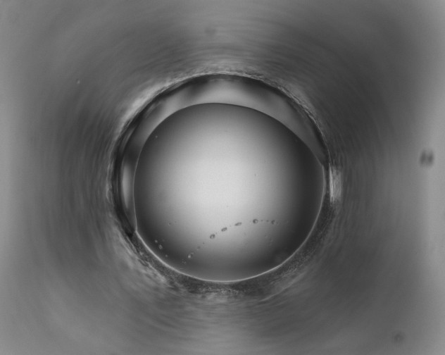 X0000111930579200907271315