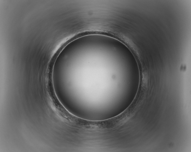 X0000111930580200907271315