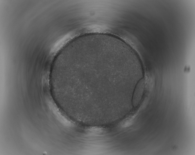 X0000111930581200907271315