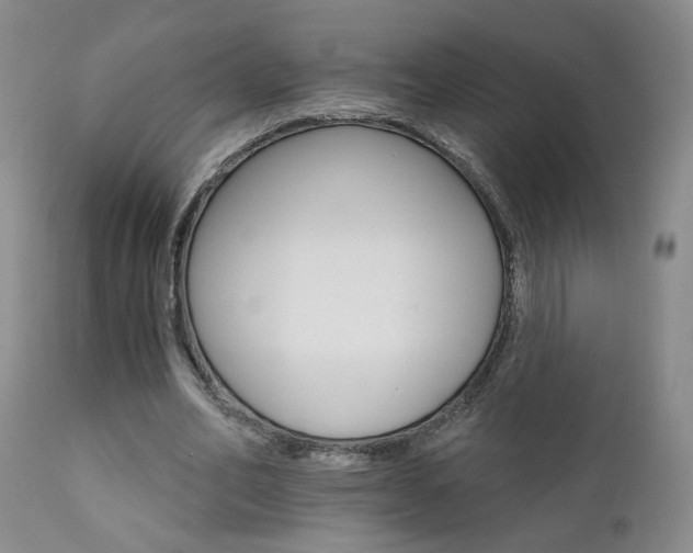 X0000111930582200907271315