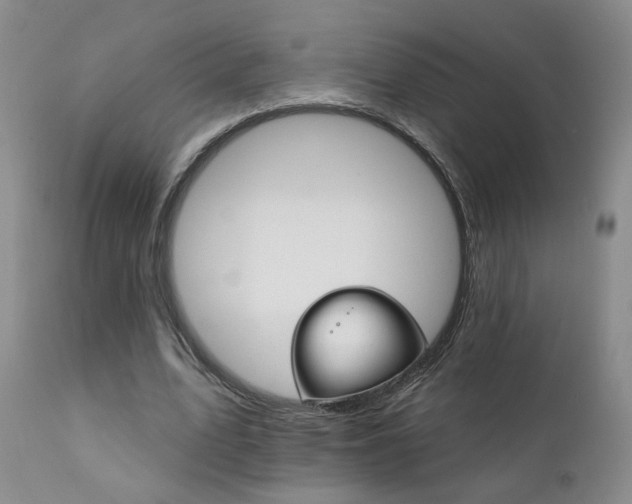 X0000111930583200907271315