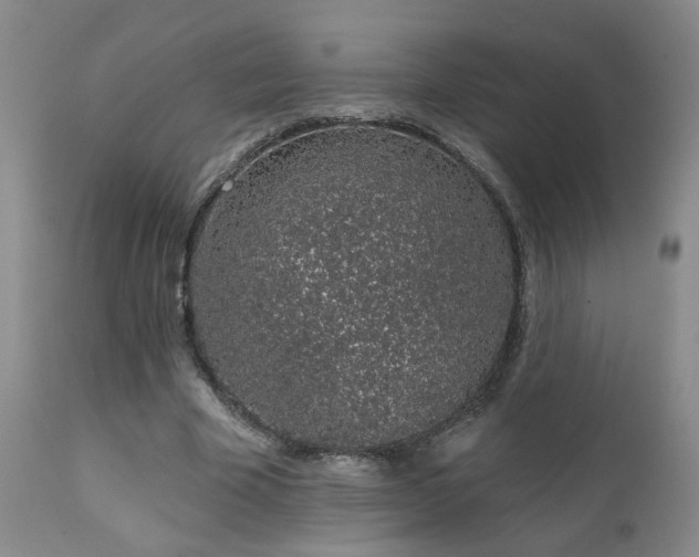 X0000111930585200907271315