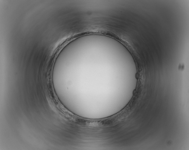 X0000111930587200907271315