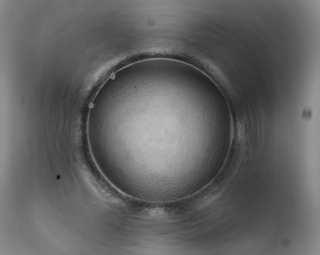 X0000111930588200907271315