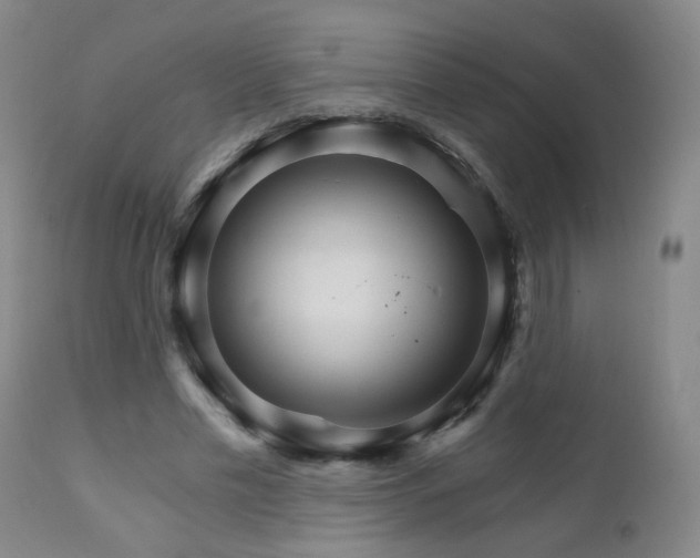 X0000111930589200907271315