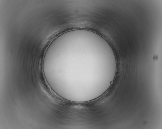 X0000111930590200907271315