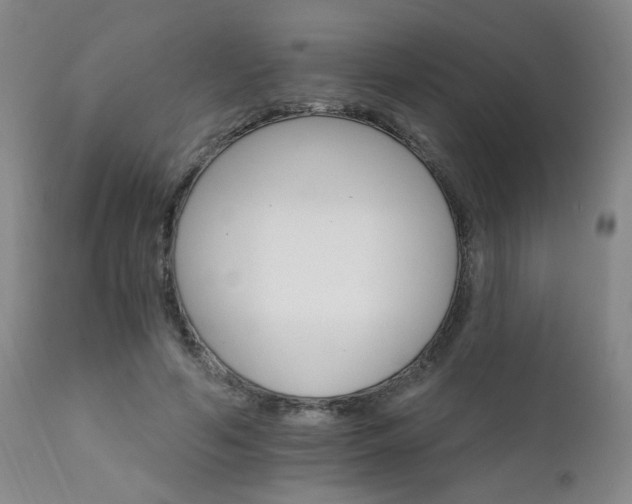 X0000111930594200907271315