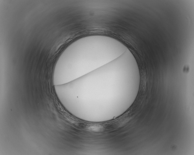 X0000111930595200907271315