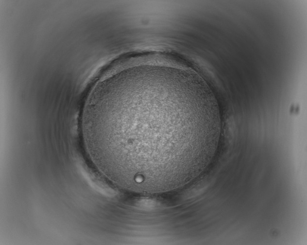 X0000111930596200907271315