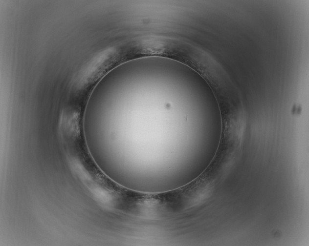 X0000111930598200907271315