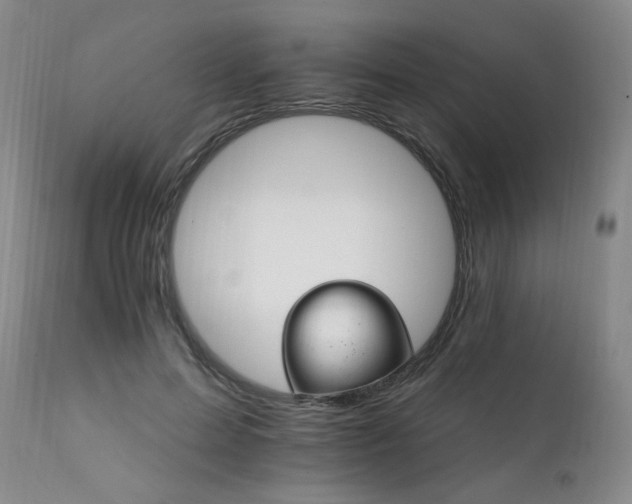 X0000111930599200907271315