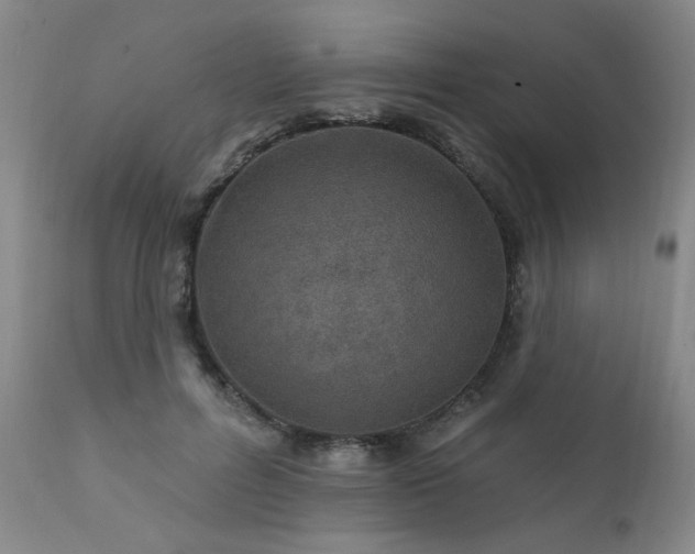 X0000111930600200907271315
