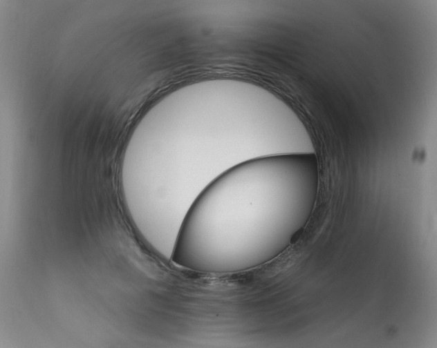 X0000111930601200907271315