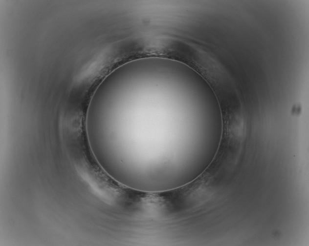 X0000111930603200907271315