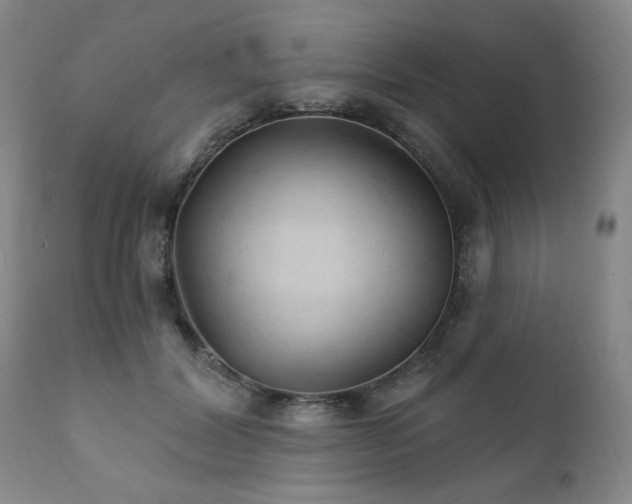 X0000111930604200907271315