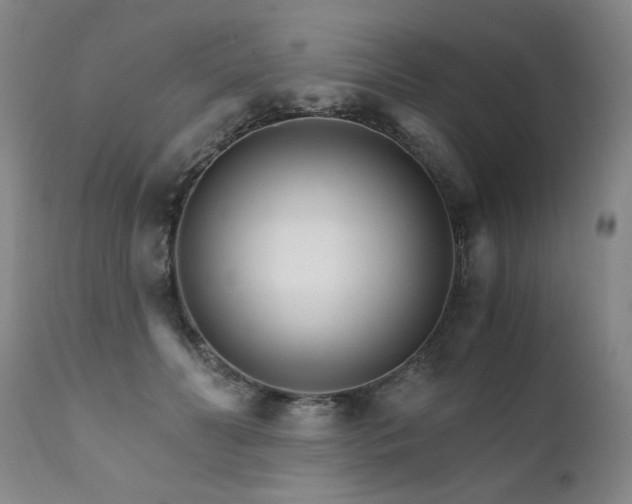 X0000111930606200907271315