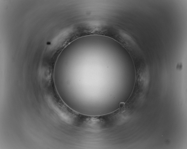X0000111930607200907271315