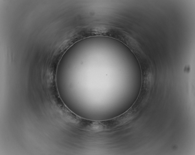 X0000111930608200907271315