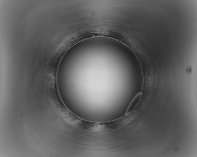 X0000111930609200907271315