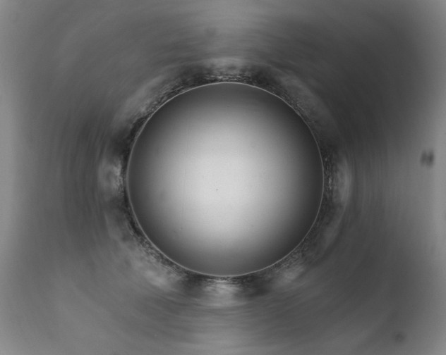 X0000111930610200907271315