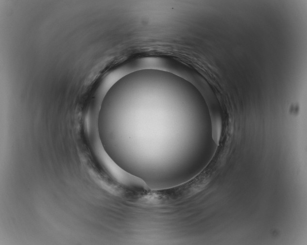 X0000111930611200907271315