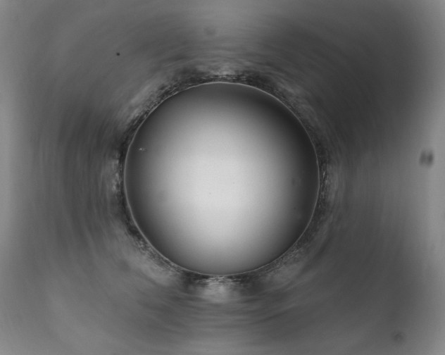 X0000111930612200907271315