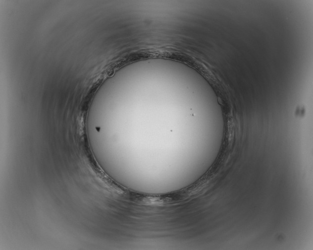 X0000111930613200907271315