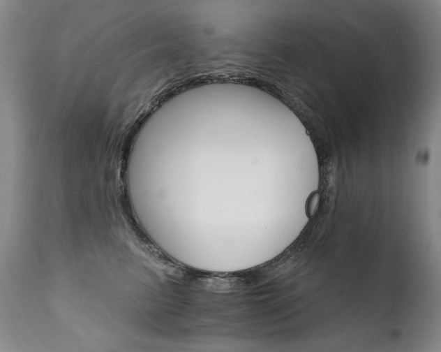 X0000111930615200907271315