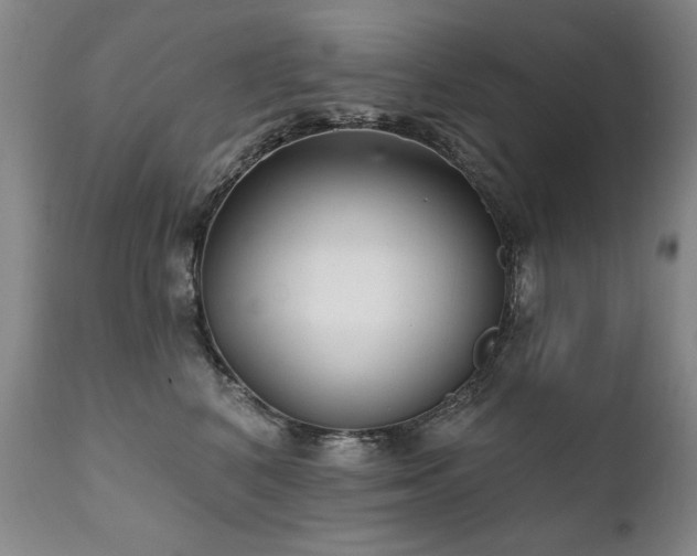 X0000111930616200907271315