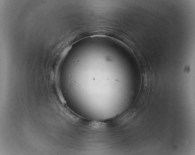 X0000111930617200907271315