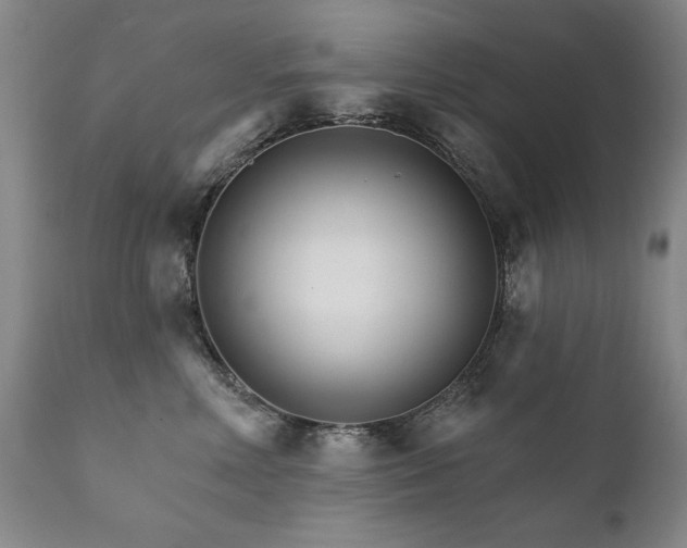 X0000111930618200907271315