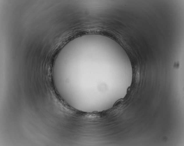 X0000111930619200907271315