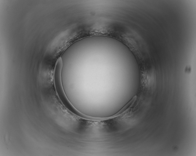 X0000111930621200907271315