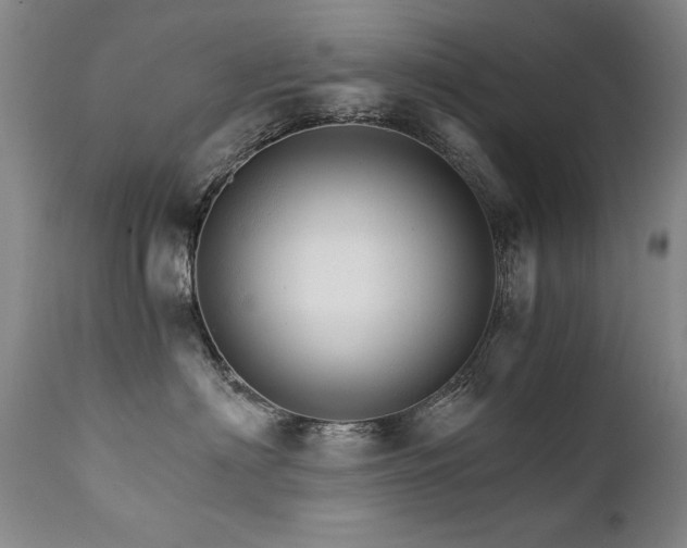 X0000111930622200907271315